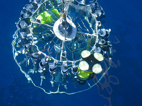 Ann Thresher/CSIRO